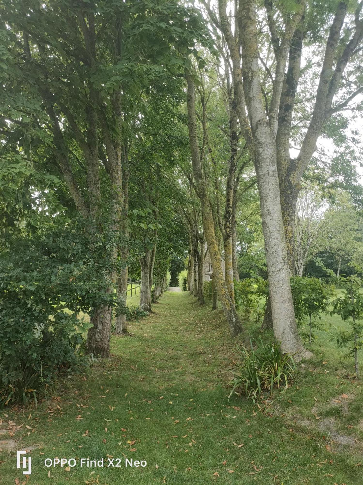 Domaine Du Manoir De Vains Hotel Luaran gambar