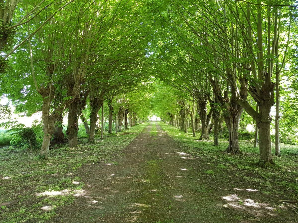 Domaine Du Manoir De Vains Hotel Luaran gambar